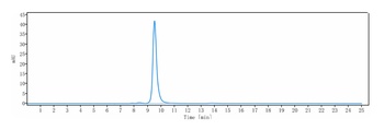 HLA-DR Antibody
