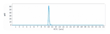 ROBO1 Reference Antibody