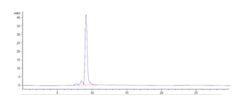 PRAME Reference Antibody