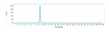 GDF8/Myostatin Antibody
