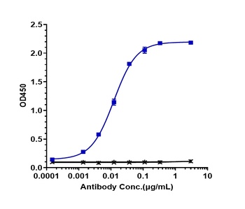 Mesothelin Antibody