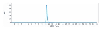 FAP Antibody
