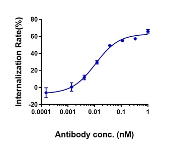 CLDN6/CLD6 Antibody