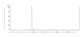 FcgR2a/CD32a Antibody