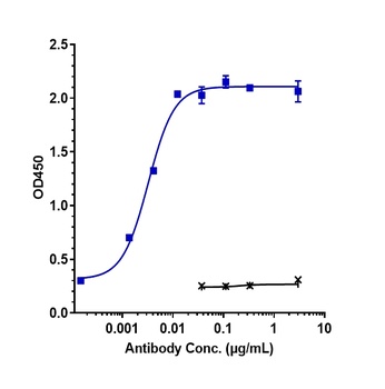 IL-3Ra/CD123 Antibody