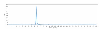 CCR7/CD197/CMKBR7/EBI1/EVI1 Antibody
