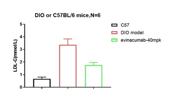 ANGPTL3 Antibody