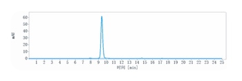 VEGF Antibody