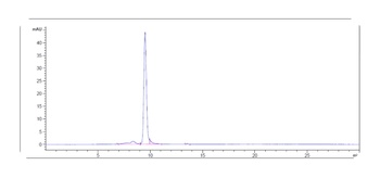 IL-18 Antibody