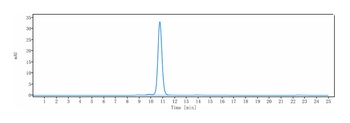 ERBB2/HER2/CD340 Antibody