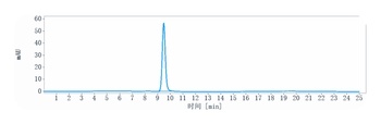 CCN2/CTGF Antibody