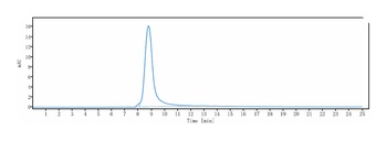 HGFR/c-Met Antibody