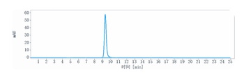TNFRSF7/CD27 Antibody