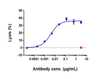 CD20 Antibody