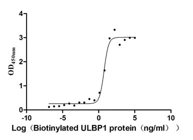 Recombinant Human UL16-binding protein 1 (ULBP1), Biotinylated (Active)