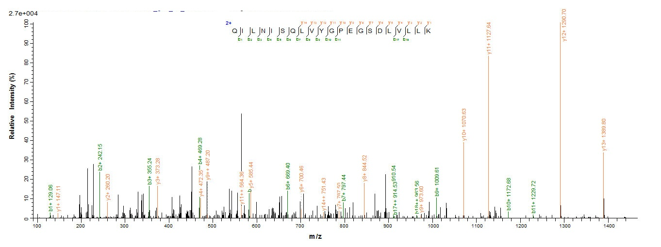 Recombinant Rat Hepatocyte growth factor (Hgf), partial