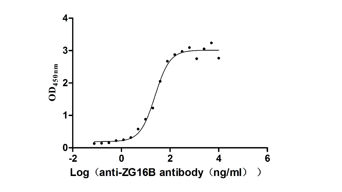 Recombinant Macaca fascicularis zymogen granule protein 16 homolog B (ZG16B) (Active)