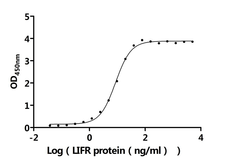 Recombinant Human Leukemia inhibitory factor (LIF) (Active)