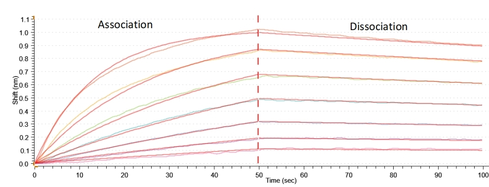 Recombinant Human Low affinity immunoglobulin gamma Fc region receptor III-A (FCGR3A) (F176V), partial (Active)