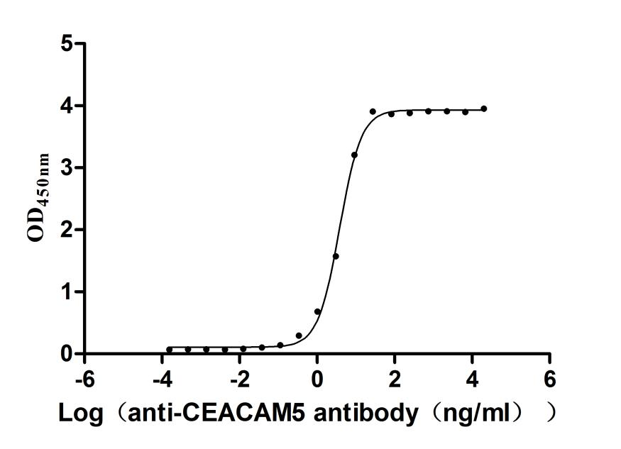 Recombinant Macaca mulatta Carcinoembryonic antigen-related cell adhesion molecule 5 (CEACAM5), partial (Active)