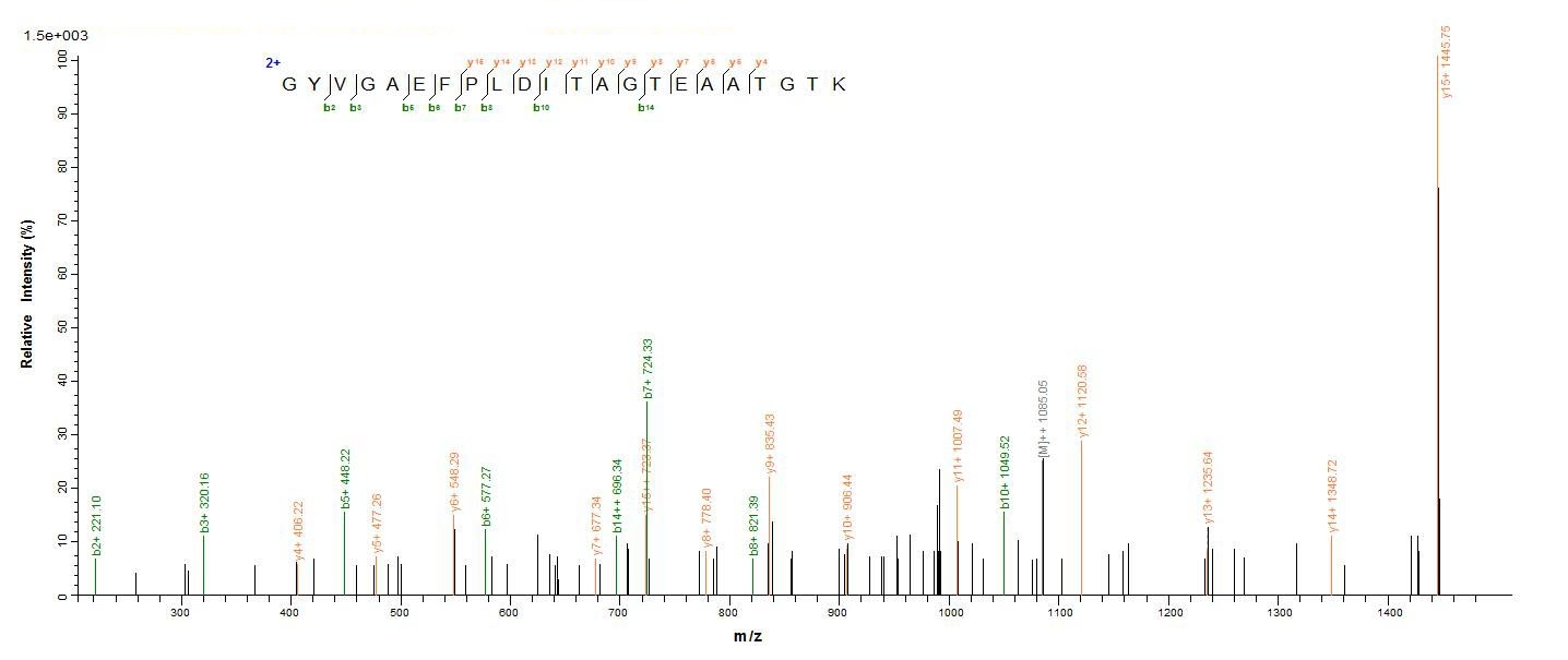 E.coli ompA protein