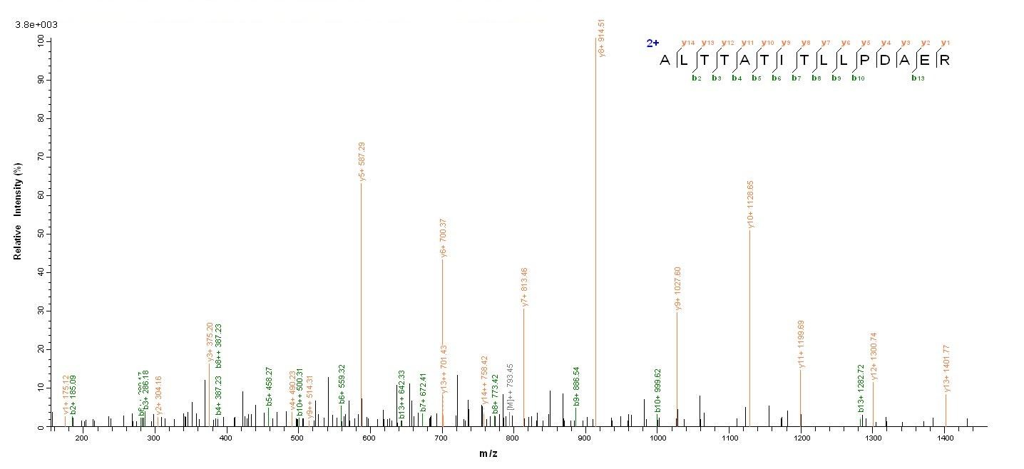 Viral A Intermediate capsid VP6 protein