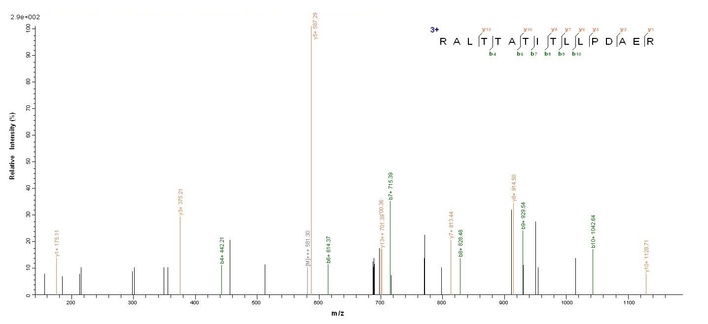 Viral A Intermediate capsid VP6 protein