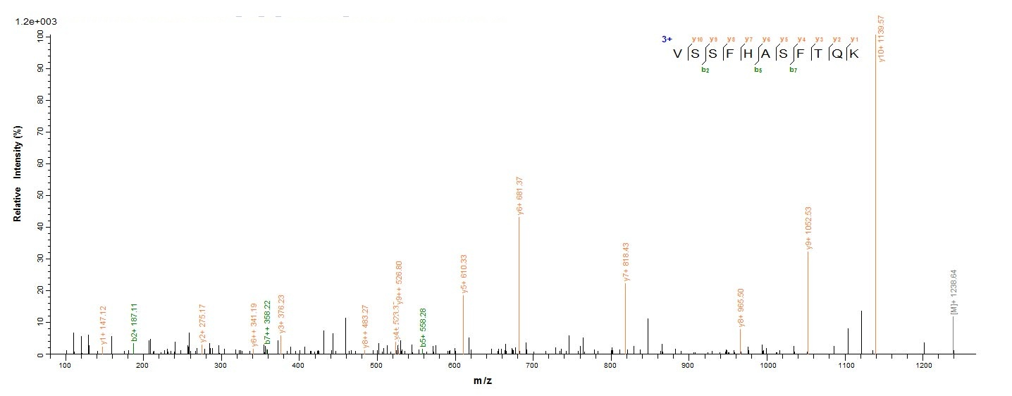 Yeast lolA protein