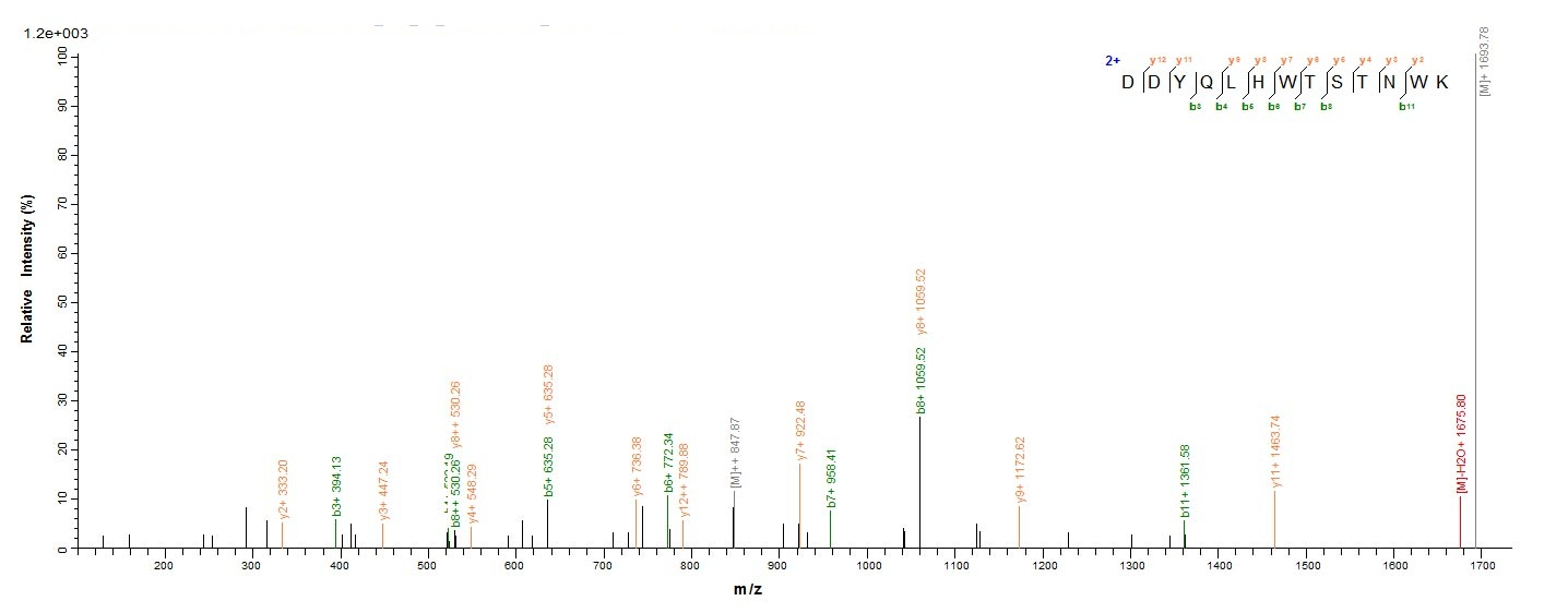Yeast hly protein