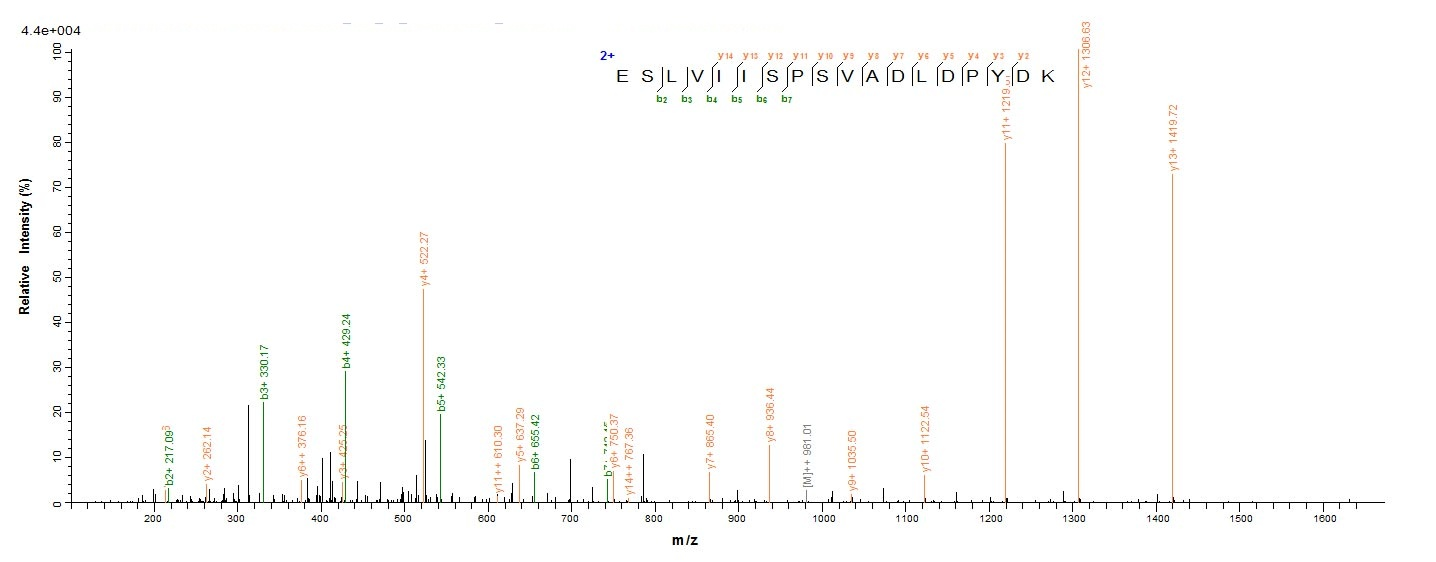 Yeast G protein