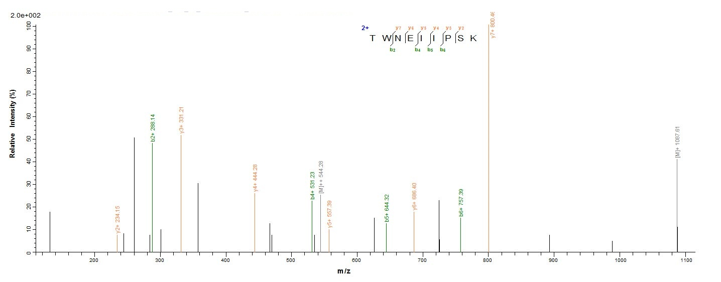 Yeast G protein