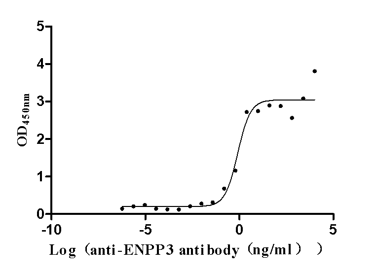 Recombinant Human Ectonucleotide pyrophosphatase/phosphodiesterase family member 3 (ENPP3), partial (Active)