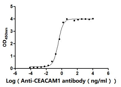 Recombinant Human Cell adhesion molecule CEACAM1 (CEACAM1), partial (Active)