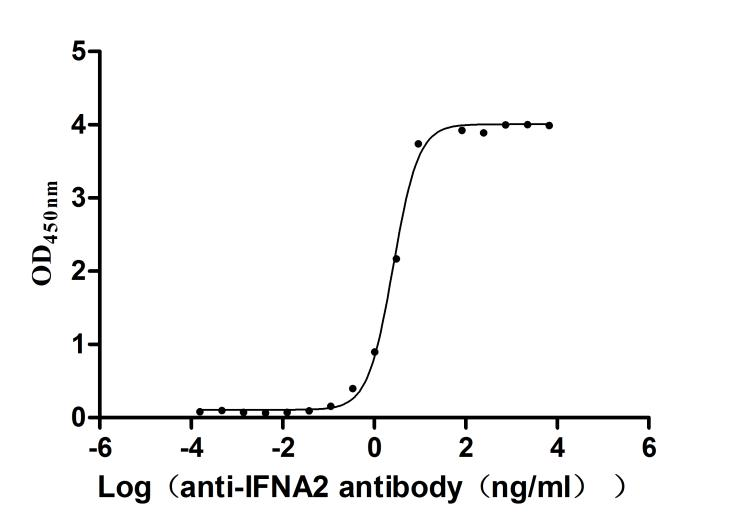 Recombinant Human Interferon alpha-2 (IFNA2) (Active)