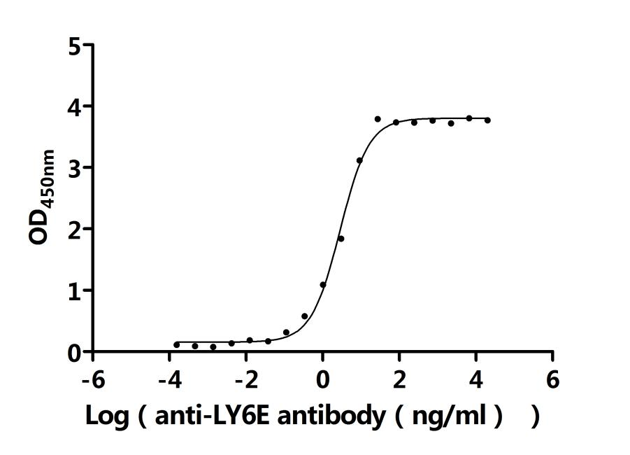 Recombinant Human Lymphocyte antigen 6E (LY6E) (Active)