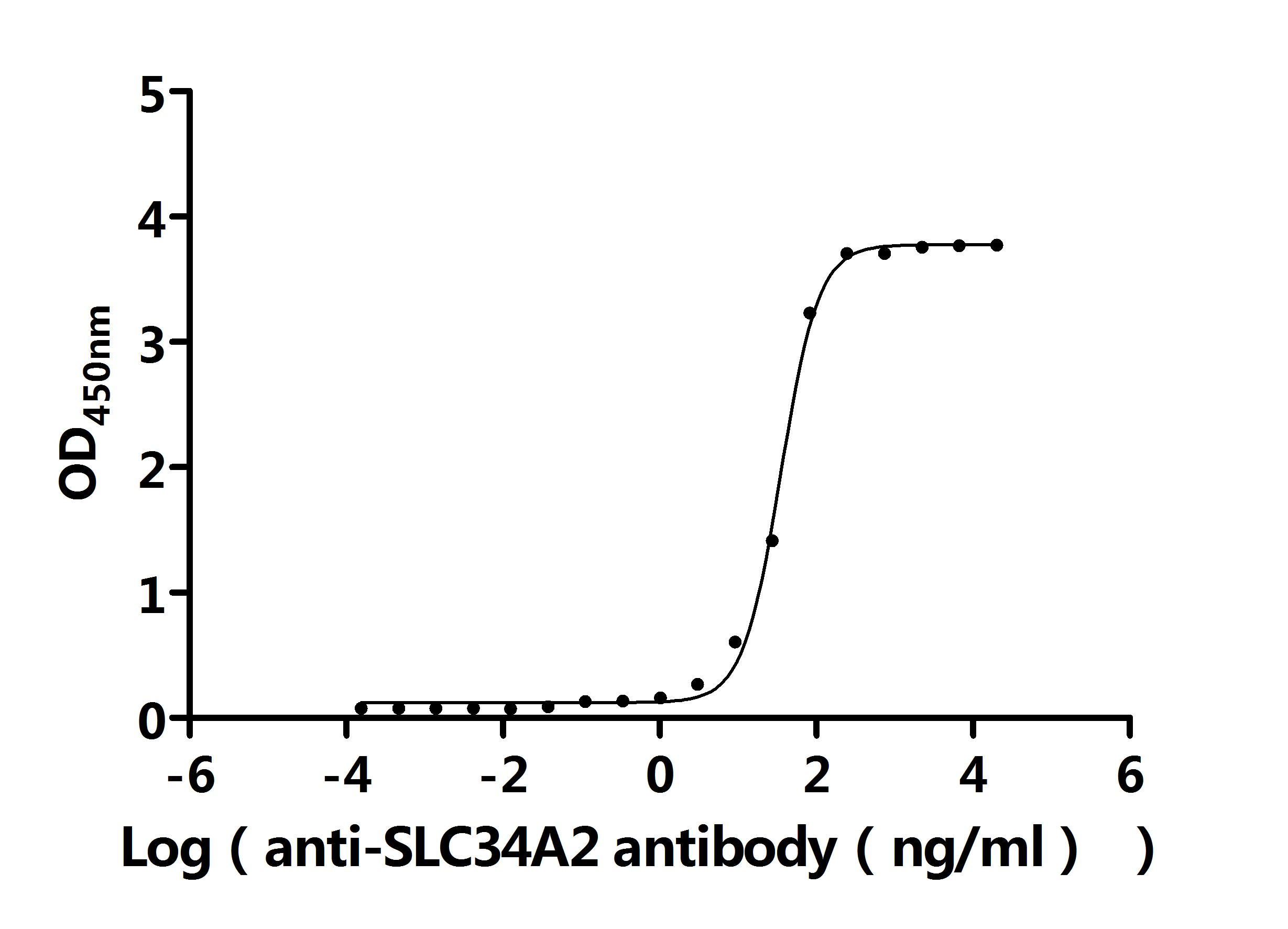 Recombinant Human Sodium-dependent phosphate transport protein 2B (SLC34A2), partial (Active)