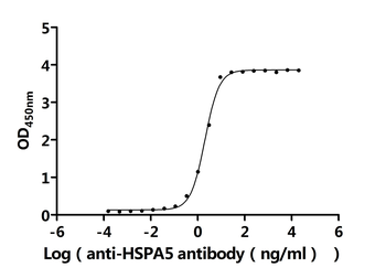 HSPA5 Antibody