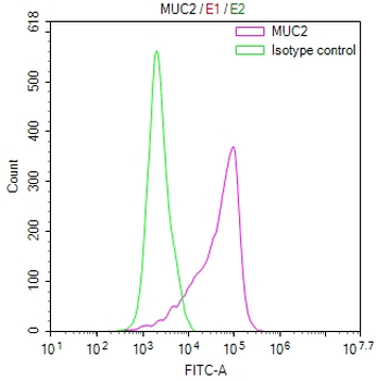 MUC2 Antibody