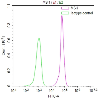MSI1 Antibody