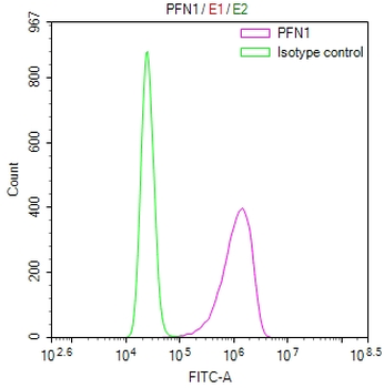 PFN1 Antibody