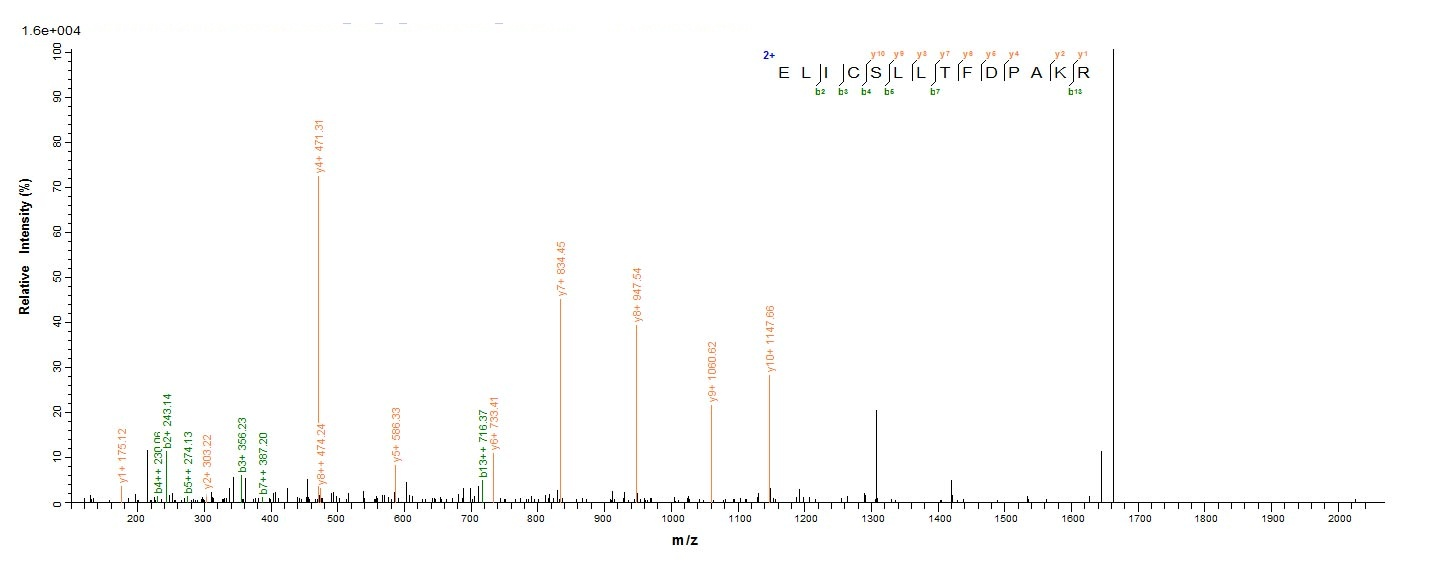 Yeast ATG1 protein