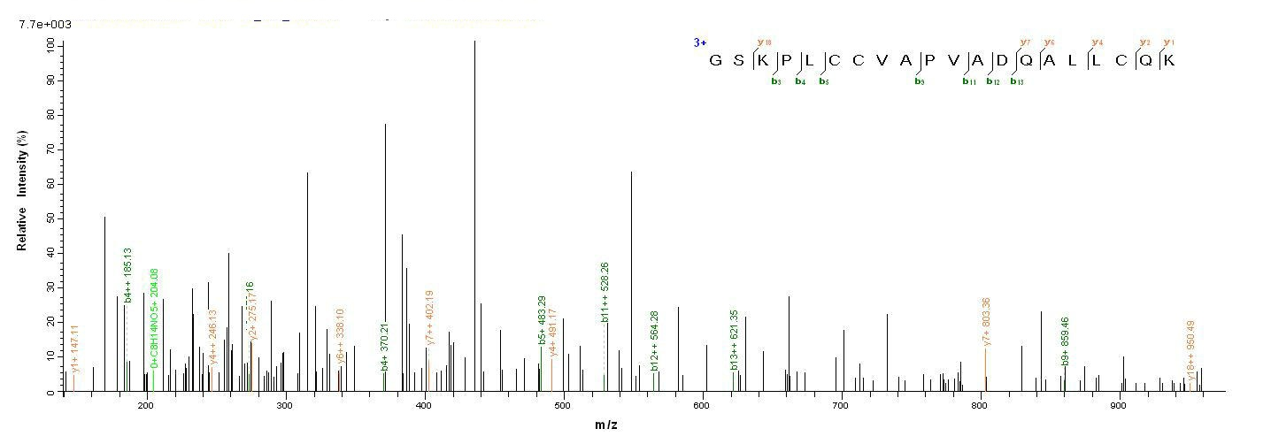 Fungi HFB2 protein
