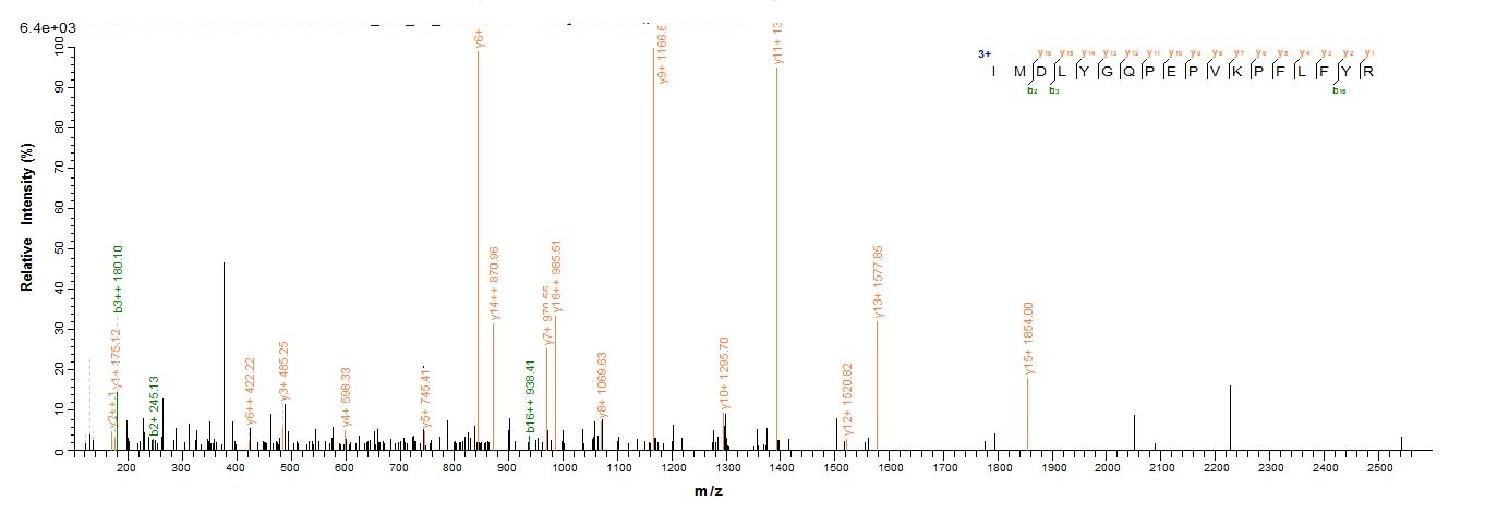 Human IL36G protein