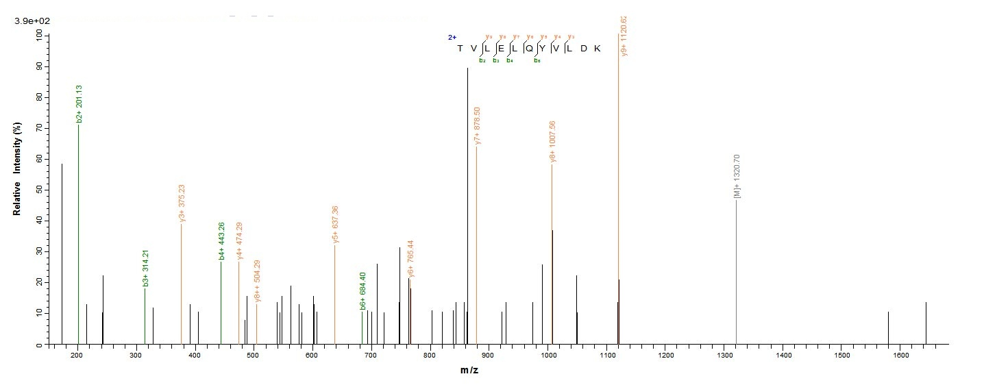 Human CAPRIN1 protein