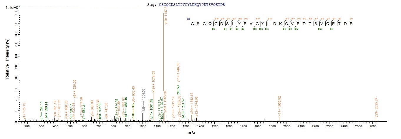 Human EMC4 protein