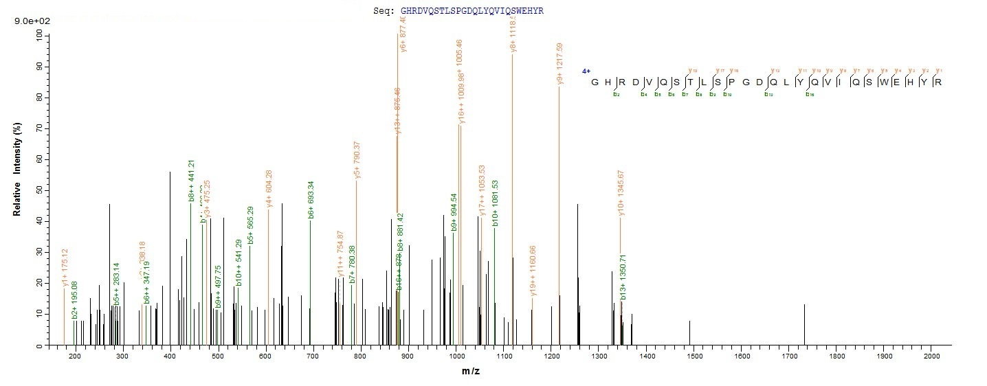 Mouse Pglyrp1 protein
