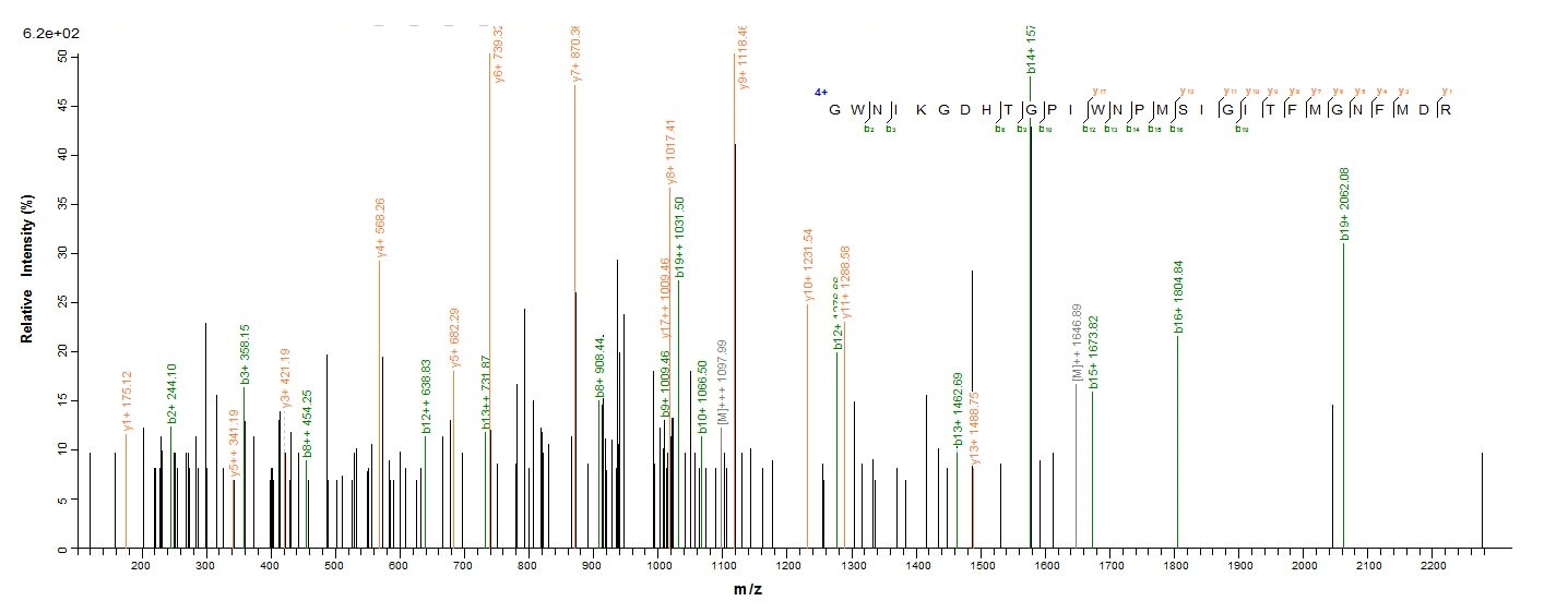 Mouse Pglyrp1 protein