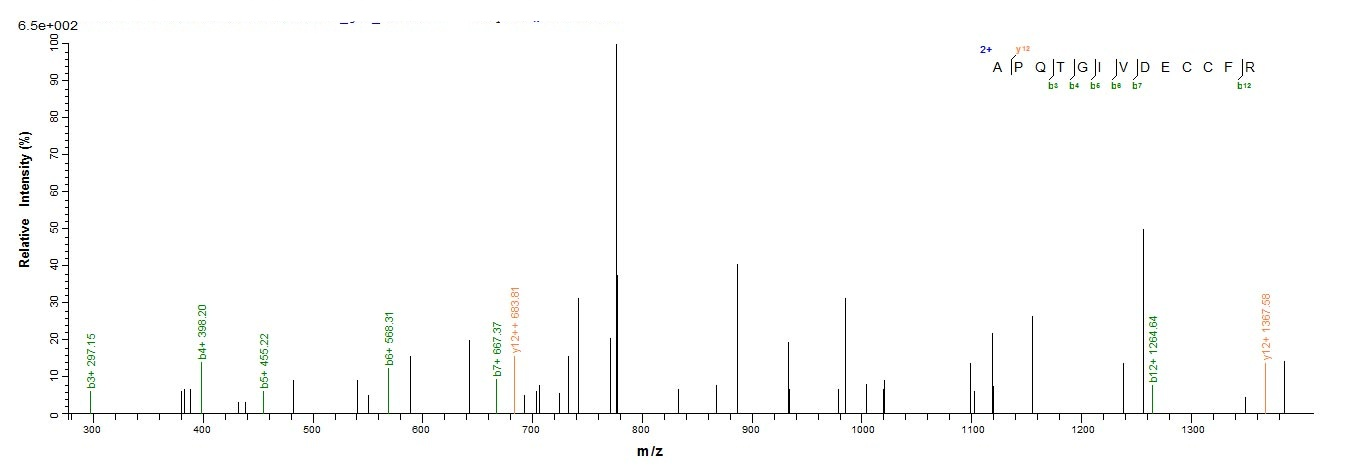 Human IGF1 protein