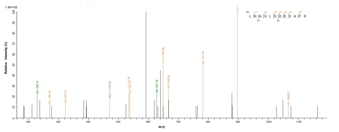 Virus omp25 protein