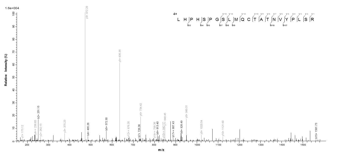 Mouse Il34 protein